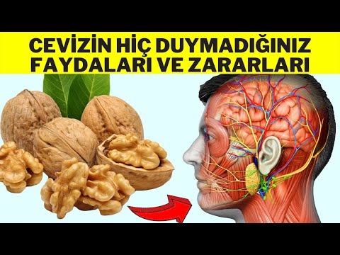 CEVİZİN HİÇ DUYMADIĞINIZ FAYDALARI (Cevizin Faydaları - Cevizin Zararları - Cevizin Vitaminleri)