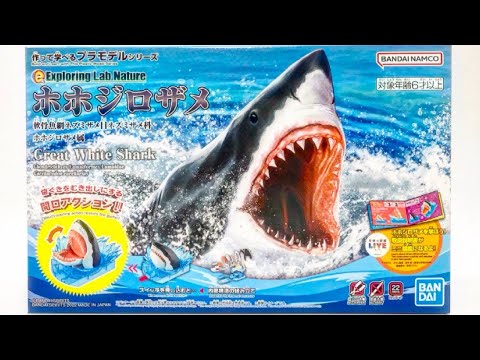 Jaws B.B.N サメフィン bonbonero 鮫 mqdefault.jpg