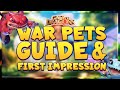 🔥 War Pets! Guide, First Look & Impressions! 🐾