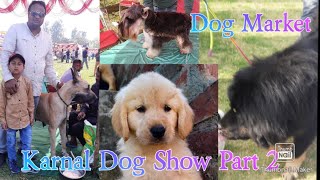 Dog Show Karnal Part 2 | Dog Market #KarnalDogshow2022 #Fununlimiteddogfarm