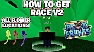 All Flower Locations to get Race V2 - Blox Fruits! How to get Race V2 in Blox Fruits