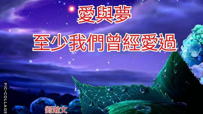 讓人落淚感人愛情文章我們真的愛過嗎超感動 Youtube 讓人落淚感人愛情文章我們真的愛過嗎超感動 Youtube