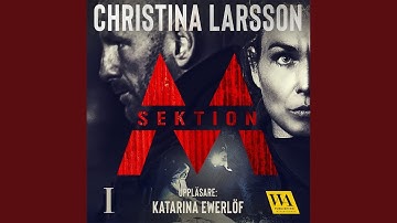 Chapter 8.5 & Chapter 9.1 - Sektion M I