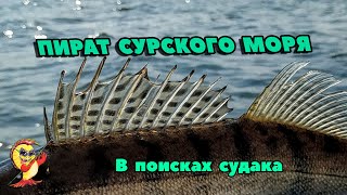 ПИРАТ СУРСКОГО МОРЯ. В ПОИСКАХ СУДАКА.