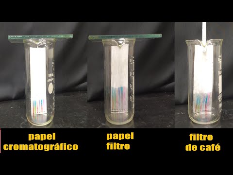 Vídeo: Por que os aminoácidos se separam na cromatografia em papel?