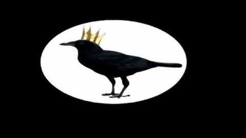 Board slide to whip out Matthew Pilkington