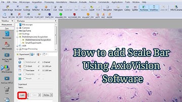 How to add Scale Bar Using AxioVision Software | How to change Pixel Scale in Micron in AxioVision