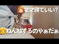 ママ高熱でダウン中に余裕で部屋に入ってきてずっと喋ってる2歳児w