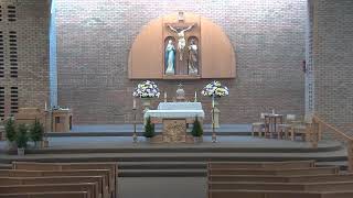 February 8, 2026--9:00 am Mass--5th Sunday in Ordinary Time