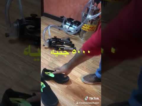 صور الحلابه
