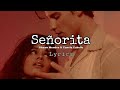 Shawn Mendes ft. Camila Cabello "Señorita" - Lyrics