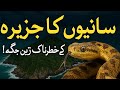 Snake Island – The World’s Deadliest Island Full of Venomous Snakes
