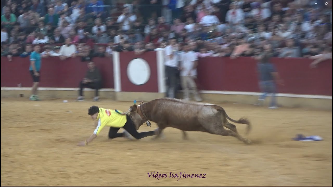 Zaragoza – Mañana vaquillera 11/10/2025 – Nº606/Emilia II – 