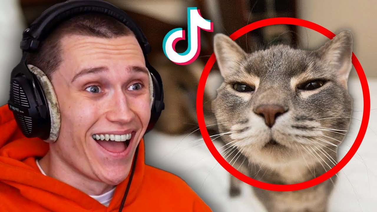 Рейтинг УМОРИТЕЛЬНЫХ TikTok, которые вы мне прислали