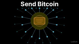 Mastering Bitcoin — 2.3: Transaction Construction and Broadcast