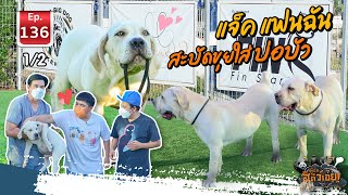 แจ็ค แฟนฉัน สะบัดขุยใส่บ่อบัว (Boerboel) - เพื่อนรักสัตว์เอ๊ย EP.136 (1/2)