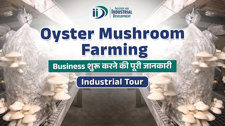 Oyster Mushroom Farming Business | Oyster Mushroom Cultivation | Business Idea |