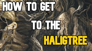How to get to the Halig Tree