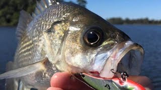 Gear & Tackle Talk EP 3 - My Bass and Estuary Setup 