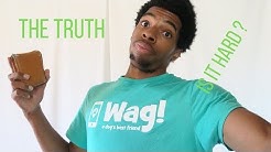 How To Get Hired By Wag 2019 | Wag Walker App