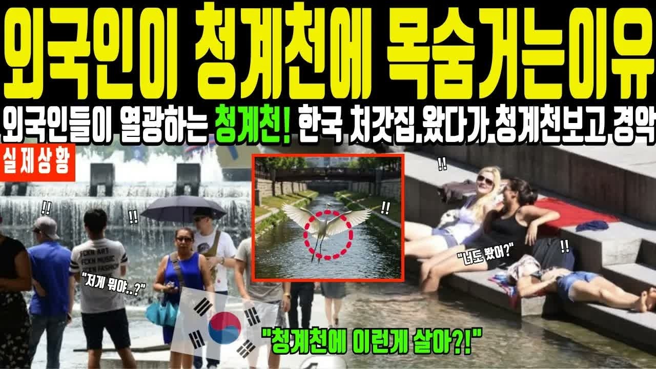 미국 처갓집이 청계천 갔다가 뒤집어진 이유! 한국 서울 모습 믿을 수 없다며 경악한 사연에 전세계 충격 해외감동사연