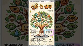 CT Entrance (D.El.Ed) 2026 | ଧ୍ୱନି ଓ ଶବ୍ଦ | Odia Grammar Handwritten Notes | Important MCQs