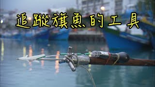 追蹤旗魚的工具_上脫式衛星標識器_Pop–up satellite archival tag, PSAT