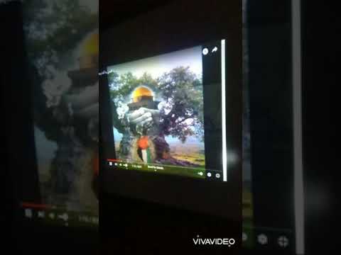الأقصى كل السور