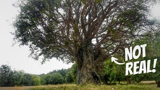 This is NOT a real tree! | Making a giant ultra realistic 1/24 scale tree - diorama tutorial 🌳