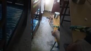 Maajabu ya mwanafunzi