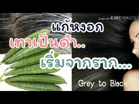 วิธี ลด ผม หงอก  Update New  หงอกกลับดำ ดำจากราก เทากลับดำ ลดผมหงอก Reverse Grey Hair from Roots| Herbs for Health family