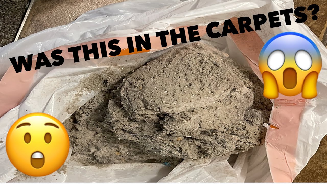 We cant believe how much dirt we pulled out of the carpets YouTube