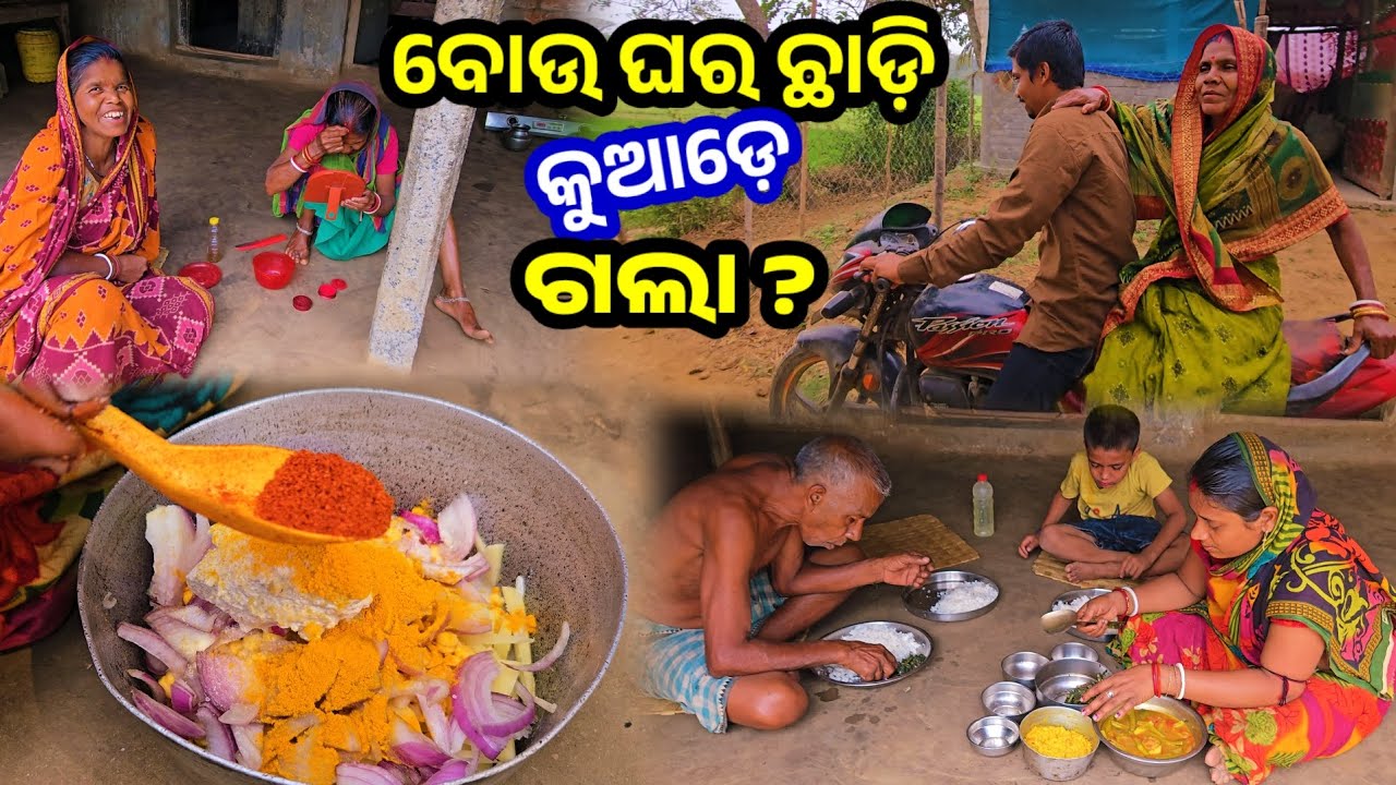 ବୋଉ ଘର ଛାଡ଼ି କୁଆଡ଼େ ଗଲା ? || Odia Family Vlog || Tapan Sanju Family Vlog