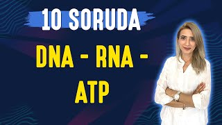 10 Soruda L Dna - Rna - Atp Tyt 9.Sinif L Seda Hoca Biyoloji