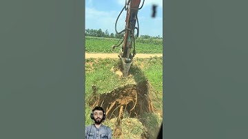 Removing Large Tree Stump With Excavator Hook || #viralvideo