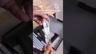 JEDEL KL81 GASKET KEYBOARD RED SWITCH #huskshop #keyboard #gamingkeyboard #asmrkeyboard #asmrvideo 