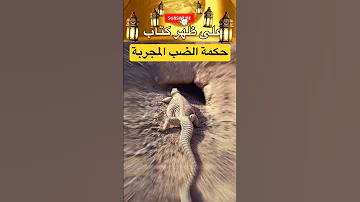 خذ هذه الحكمة والنصيحة من حيوان الضب عن تجربه اعظم اقوال وحكم واقتباسات على ظهر كتاب 