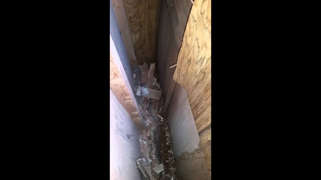 A look inside the back wall of Honey - YouTube