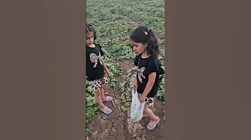 التوأم عم يتخانقو على كيس الخيار لايك ا اكسبلور 