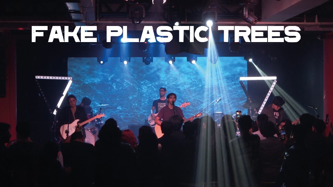 Fake Plastic Trees - Radiohead Tribute by Goyimbwoods