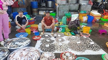 Chợ đầu mối bình điền sáng thứ hai quá ế cá biển 25k cá leo 70k đầu cá hồng 10k 