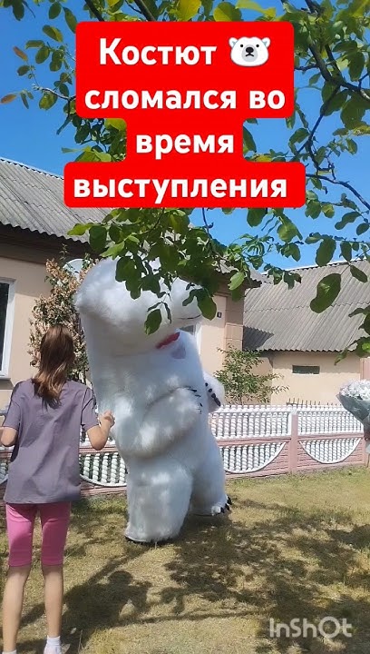 Костюм белого медведя сломался во время выступления - YouTube