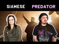 Siamese - Predator (Reaction)