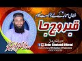 Qabar vich ja pata lagny  hafiz zafar shahzad  new shan e sahaba kallam 2022  official