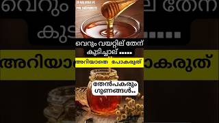Health Benefits Of Honey ദവസവ തന കഴചചല