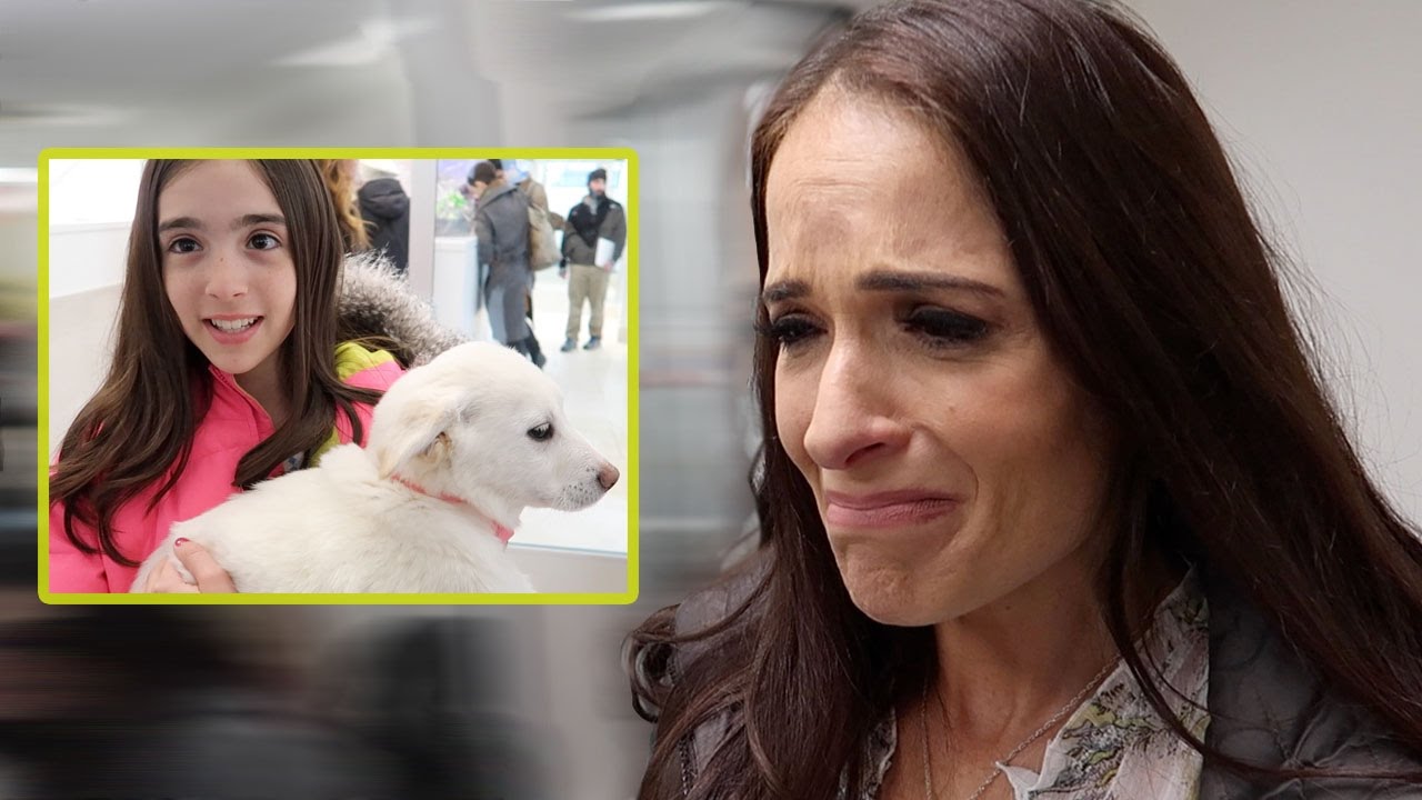 vlogs in spanish PUPPIES MAKE HER CRY