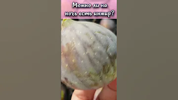 Можно ли на ночь есть инжир? #shorts