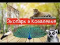 Экопарк / Зоопарк / Ковалевка/ Полтавская область / Мы в экопарке !