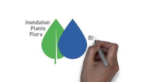 Combining ideas with the Boolean operator AND