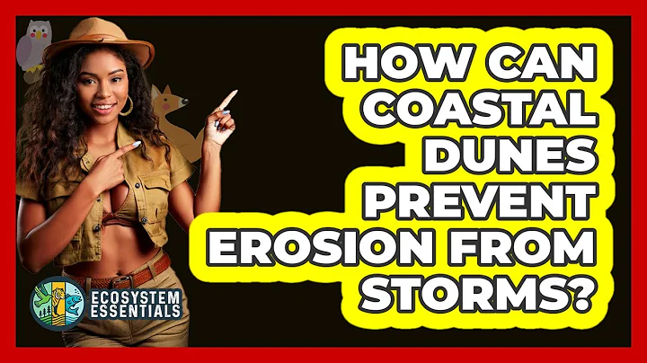 How Can Coastal Dunes Prevent Erosion From Storms? - Ecosystem Essentials